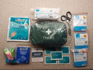 Vehicle First Aid kit contents