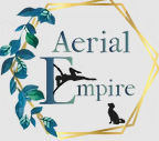 Aerial Empire Leeds logo