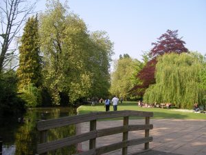 Ray Mill Island park with footbridge