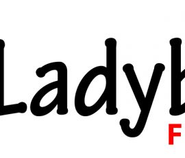 Ladybird First Aid logo